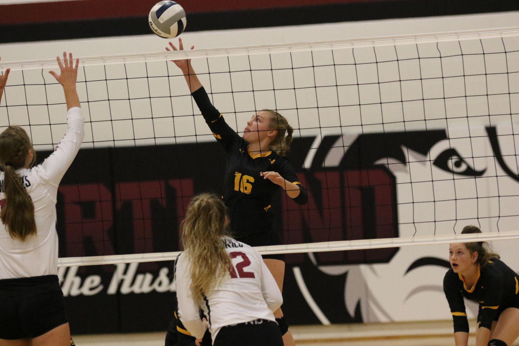 Volleyball (42).JPG